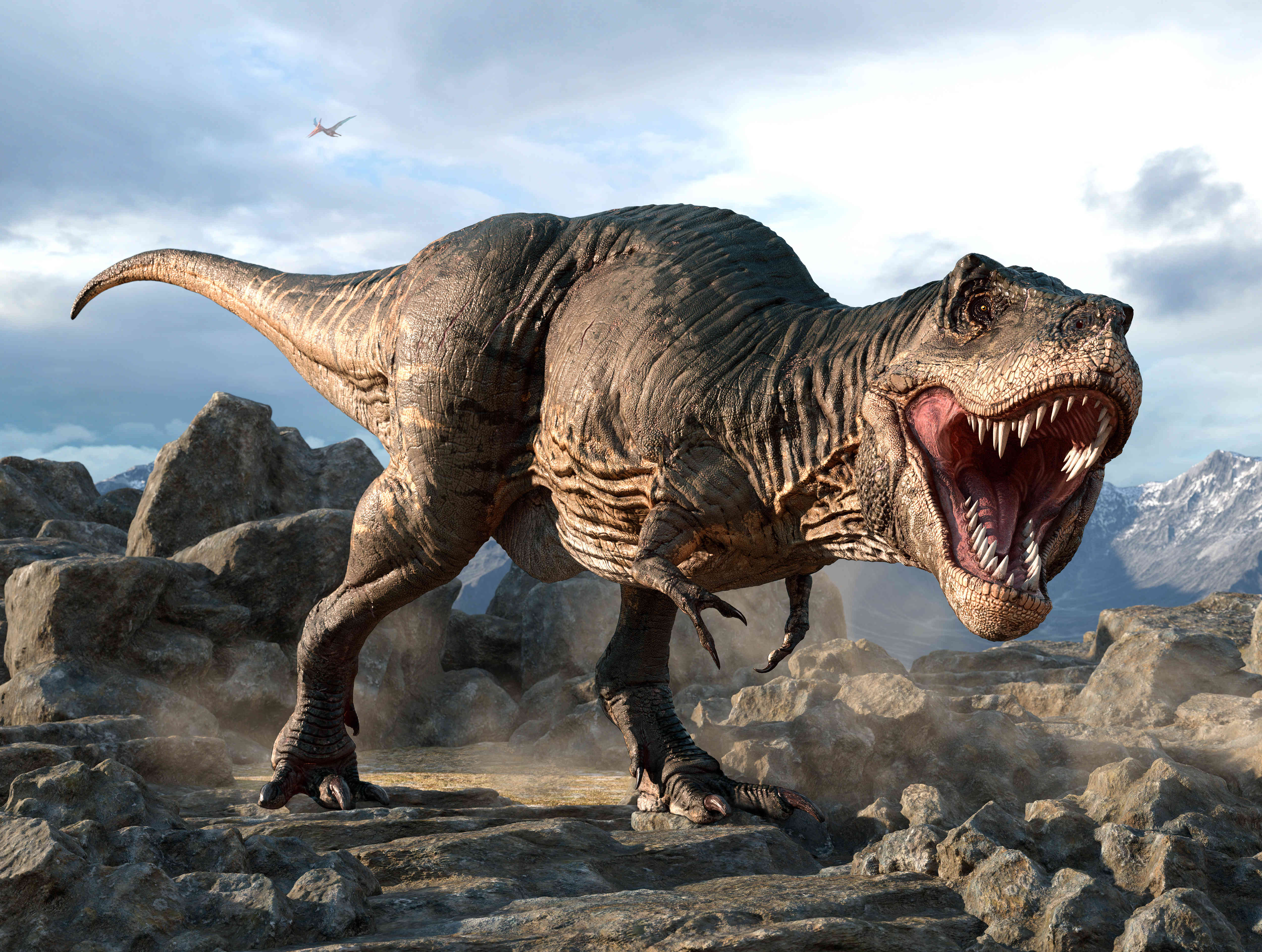 Il est possible que les dents du tyrannosaure étaient recouvertes et protégées par des lèvres. © warpaintcobra, Adobe Stock