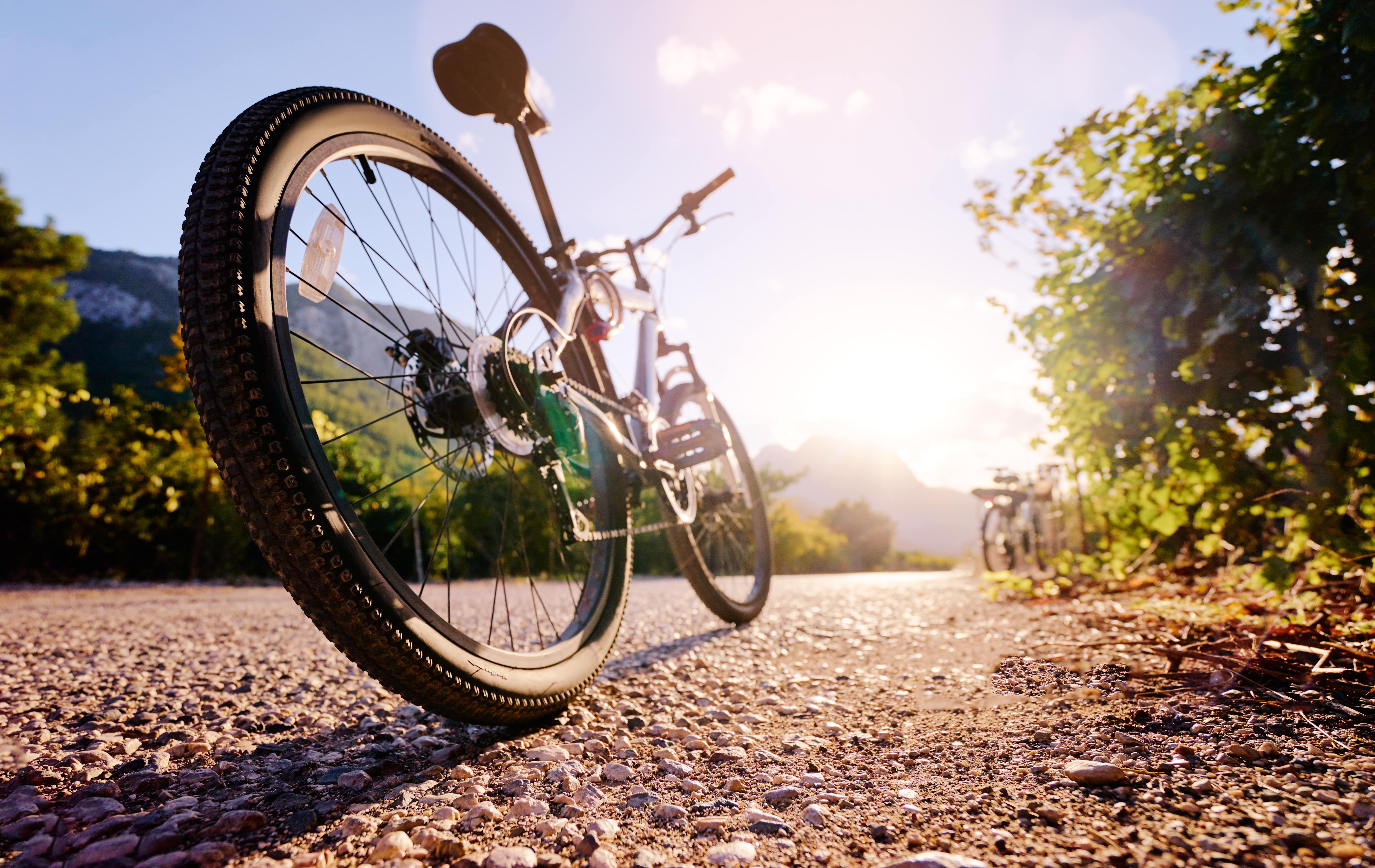 Le vélo électrique DAKEYA DA06 chute à moins de 1100 € sur Cdiscount ! © luengo_ua, Adobe Stock