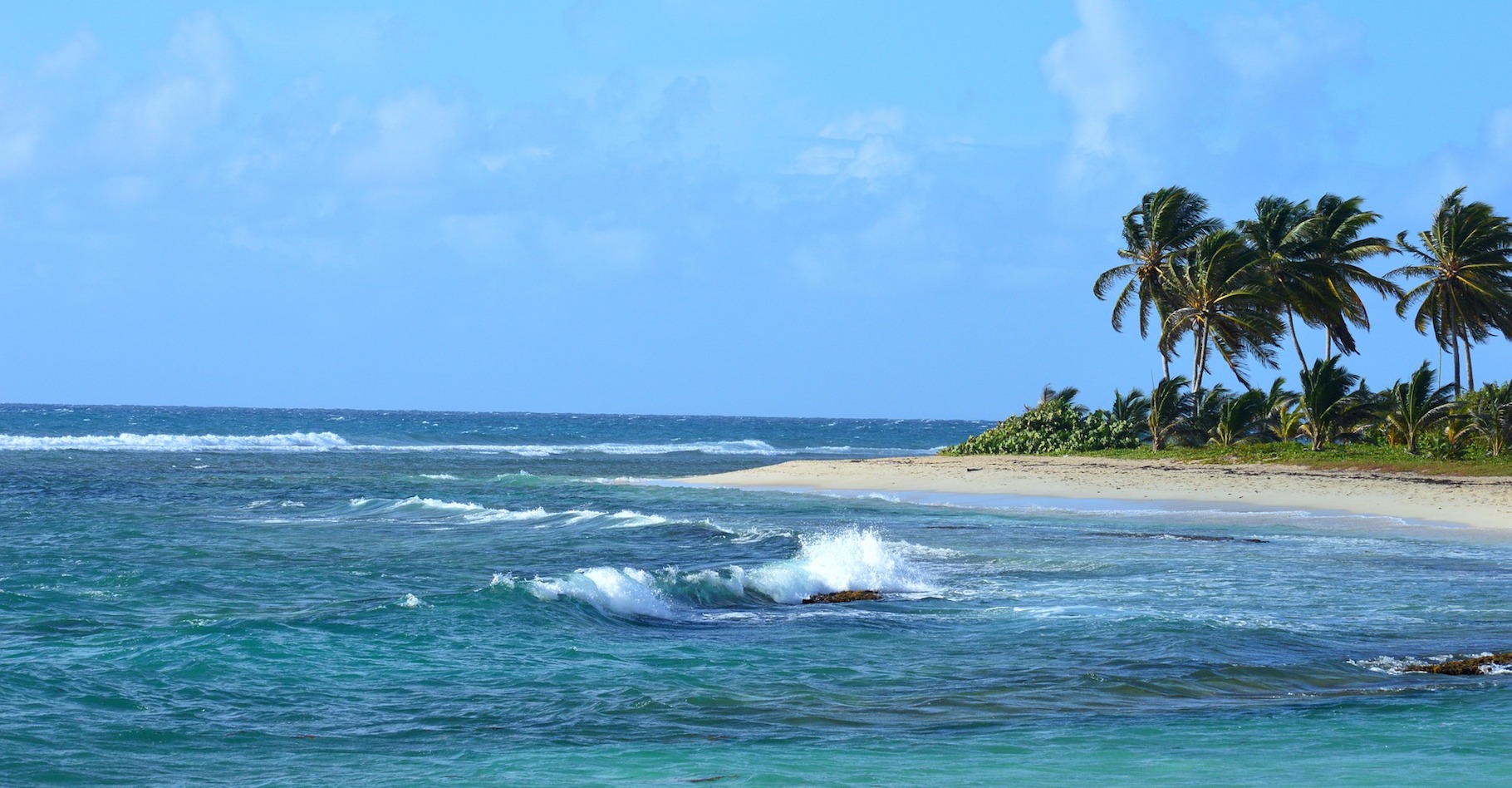 Les alizés sont des vents qui soufflent tout au long de l’année entre les tropiques. © Lecreusois, Pixabay, CC0 Creative Commons