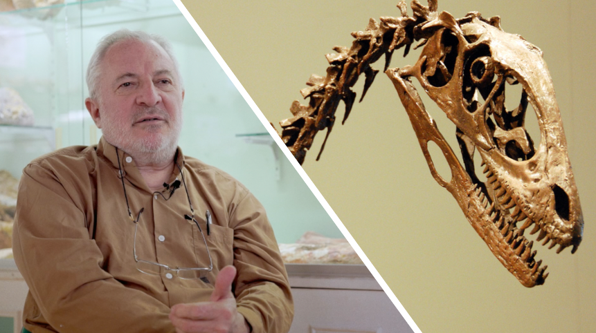 Interview : comment se forment les fossiles de dinosaures ?