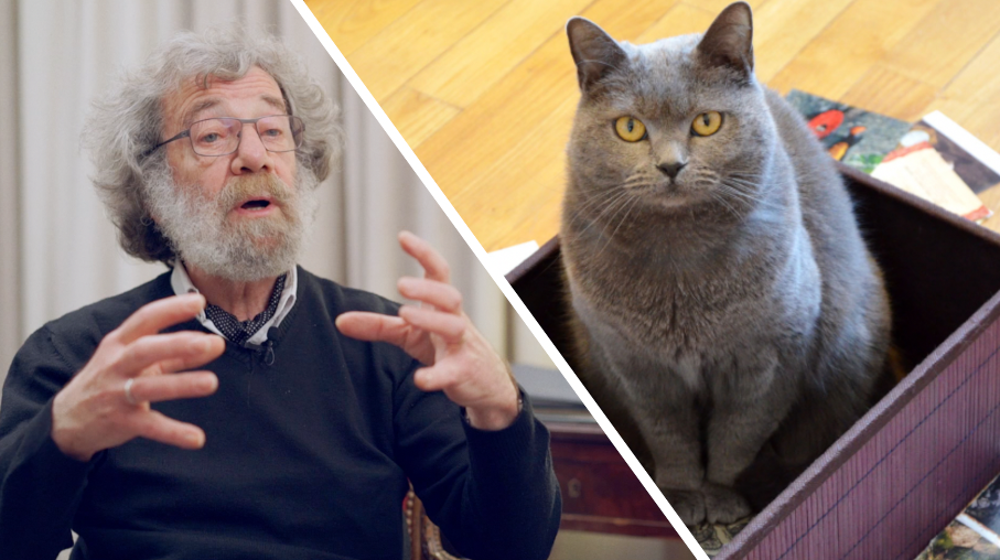 Interview : le paradoxe du chat de Schrödinger