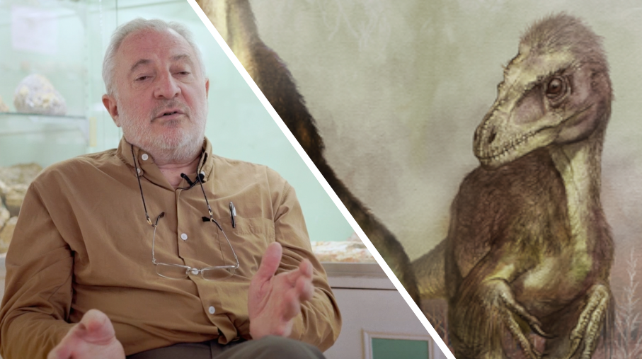 Interview : les oiseaux sont-ils les derniers descendants des dinosaures ?